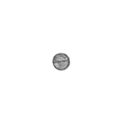 PN 037-0069, Brake Ring Pivot Screw