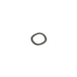 PN 00555, Spring Washer