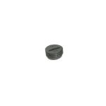 PN 00573, BRUSH CAP