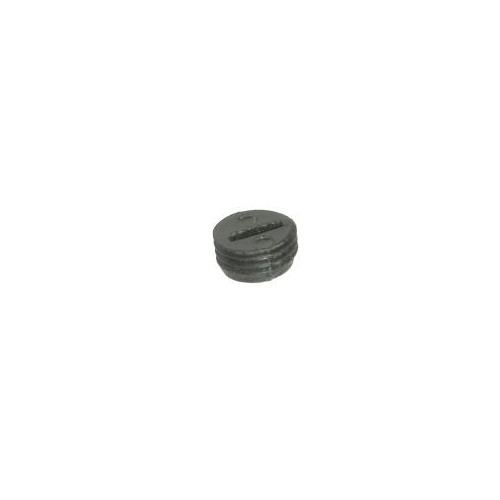 PN 00573, BRUSH CAP