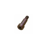 PN 038-0224, Clutch Arm Pivot Screw