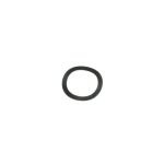PN 019-0049, Wave Spring